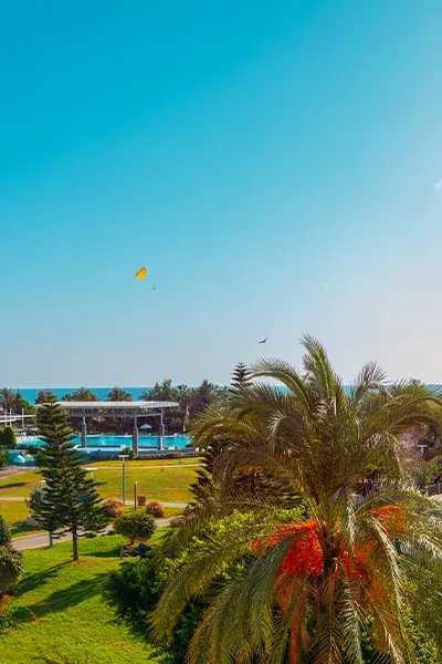 The Sense, Turkey
